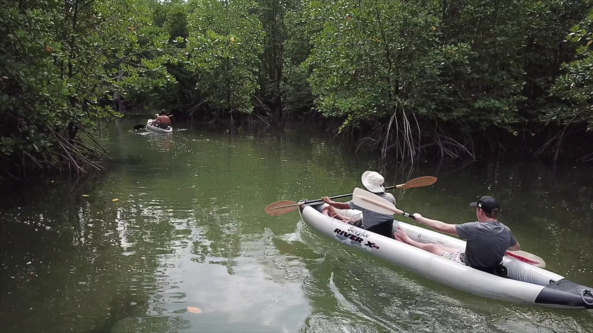 Dallinghoo's 8-Day Kota Kinabalu to Brunei - Day 5 - Explore the Mangroves