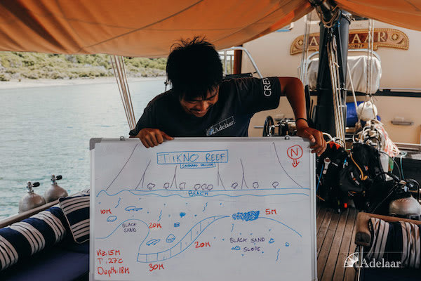 Adelaar's 11-Day Wakatobi  from Bau Bau to Maumere - Day 3 - Dive Briefing