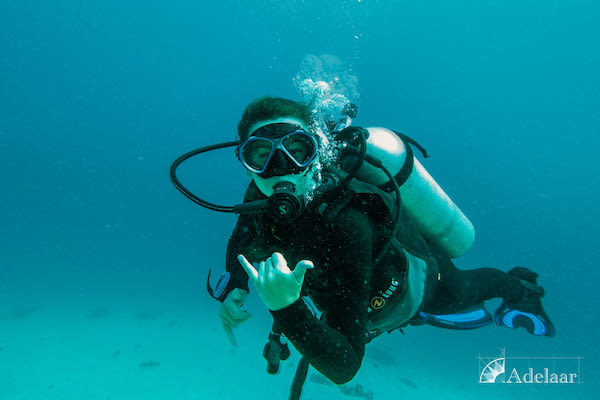 Adelaar's 11-Day Wakatobi  from Bau Bau to Maumere - Day 4 - Diving