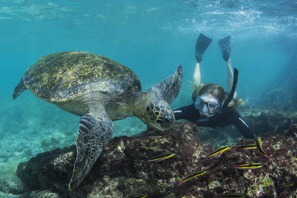 Solaris’ 8-Day A Itinerary Day Five - Snorkeling with Sea Turtles.
