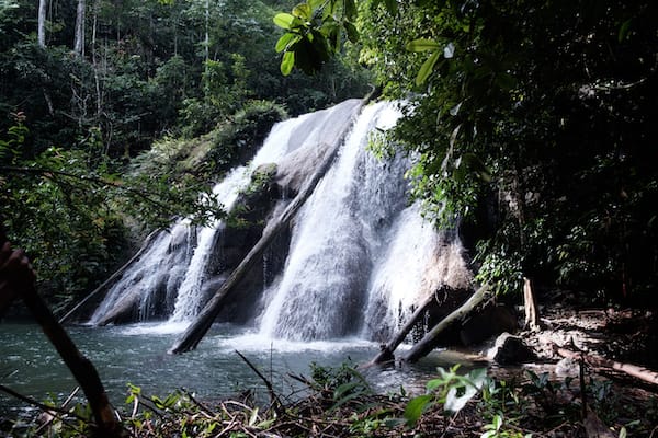 Kudanil Explorer的8 - 11天的安汶Sorong——天徒步旅行在拉瀑布