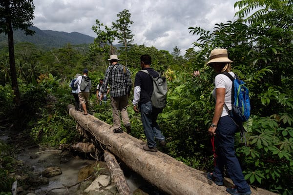 Kudanil Explorer's 11-Day Ambon to Sorong - Day 10 - Trekking in Forest