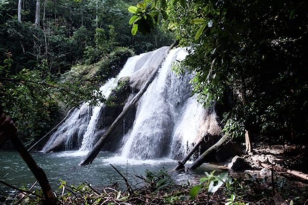 Kudanil Explorer's 11-Day Sorong to Ambon - Day 1 - Hiking Waterfall in Raja Ampat