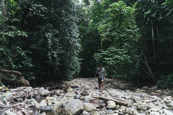 Kudanil Explorer's 12-Day Kaimana to Sorong - Day 7 - Trekking in Forest