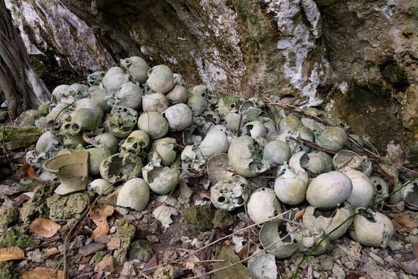 Kudanil Explorer's 12-Day Ambon to Kaimana - Day 3 - Maluku Watubela Skulls