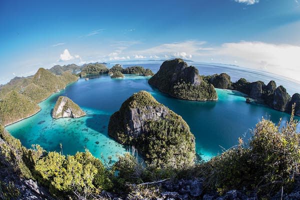 Kudanil Explorer's 12-Day Kaimana to Ambon - Day 2 - Papua