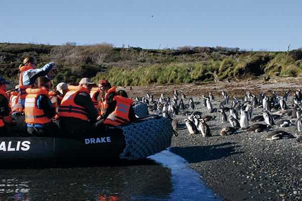 Stella's 5-Day Fjords of Tierra del Fuego Itinerary Day Two  - Tucker Islets.