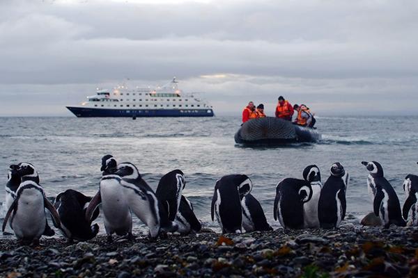 Ventus' 5-Day Patagonian Explorer Itinerary Day Five - Magdalena Island.