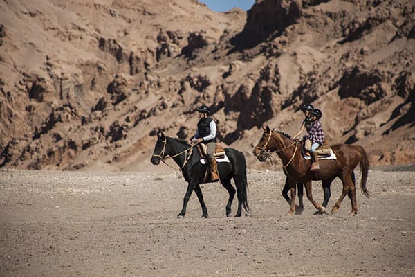 Explora Atacama's 5-Day Essential Atacama Itinerary Day Four - Horseback Riding.