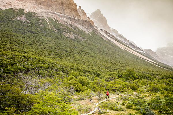 Explora El Chalten 5天基本El Chalten行程第二天徒步旅行在Huemules保护储备。