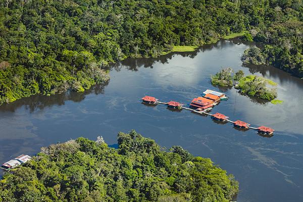 Uakari Lodge's 4-Day Regular Program Day Four - Departure. 