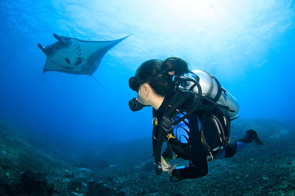 Silolona's 6-Day Komodo Cruise - Day 4 - Diving with Manta Ray