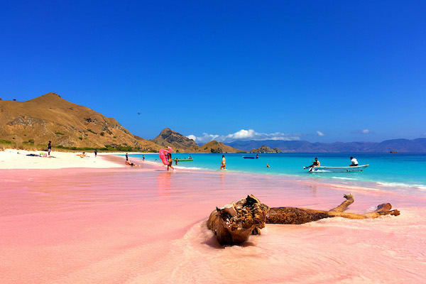 Silolona's 6-Day Komodo Cruise - Day 5 - Pink Beach