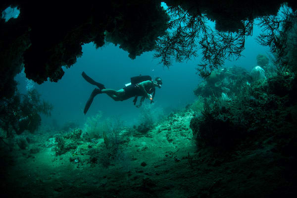 Carpe Diem's 7-Day Central Raja Ampat - Day 3 - Diving in Raja Ampat