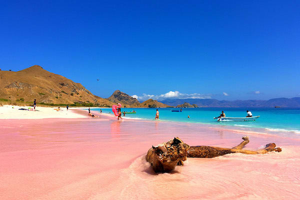 翅果二世的7天行程天6 -粉红色的沙滩