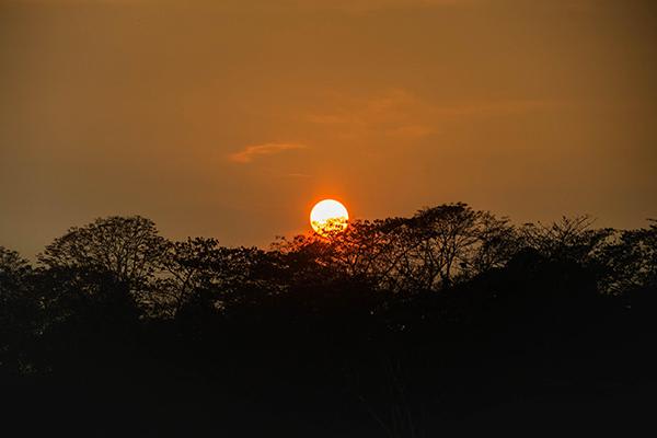 Tambopata研究Centre's 4-Day Itinerary Day Three - Sunset.