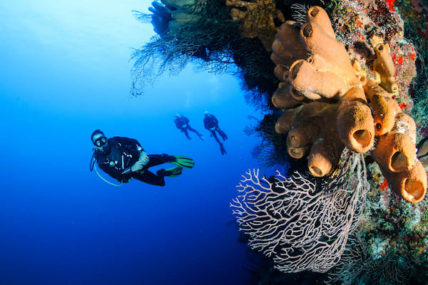 Si Datu Bua's 11-Day Banda Spice Island - Day 7 - Diving