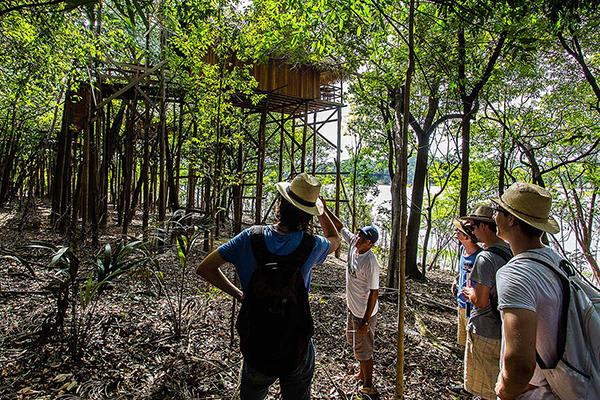 Juma Amazon Lodge's 6-Day Uirapuru Program Day Four - Juma Amazon Tour.