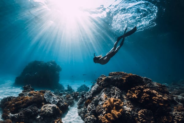Alexa's 9-Day Discover Raja Ampat - Day 8 - Freediving