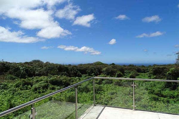 Scalesia Lodge's 4-Day Amazing Isabela Program Day One - Treetop Views.