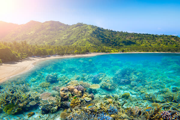 Aliikai's 6-Day Komodo - Day 2 - Clear Water