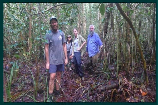 The Spirit of Kalimantan's 3-Day Katingan River & Sebangau National Park - Day 2 - Sebangau National Park