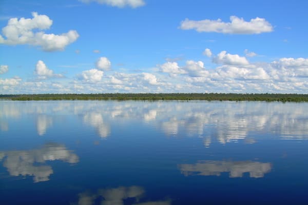 The Spirit of Kalimantan's 4-Day Katingan River & Sebangau National Park - Day 4 - Sebangau Lake