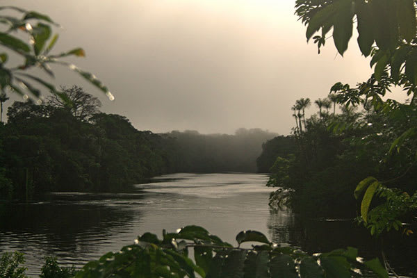 Jacaré-Tinga - Jau National Park Plus