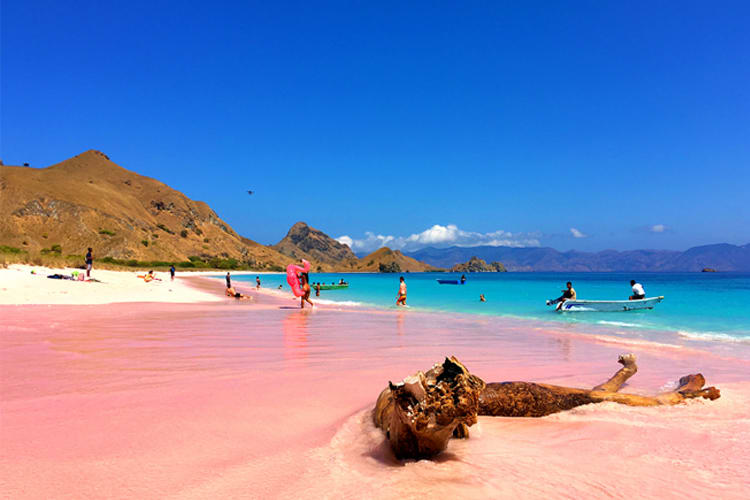 Mischief  - Komodo National Park - Day 2