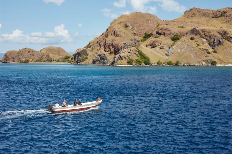 Mischief  - Komodo National Park