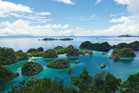 Majik (NewSupplier) - Raja Ampat North & Central-Day 6
