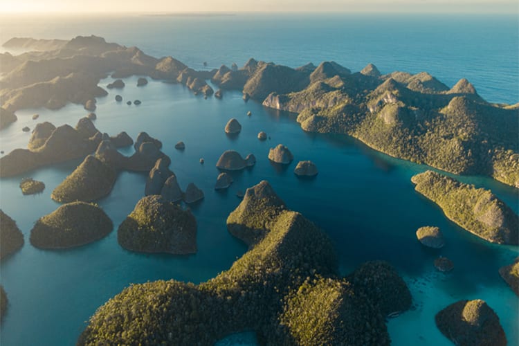 Majik (NewSupplier) - Raja Ampat North & Central-Day 8