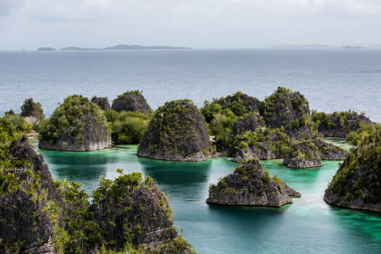 Majik - Raja Ampat - Ambon - Day 3