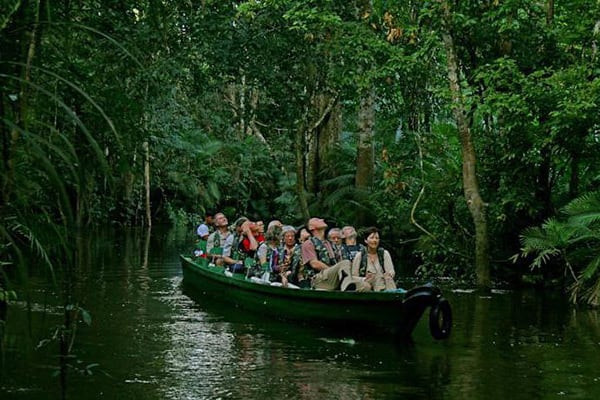 La Jangada (Katerre) - Xixuaú Reserve