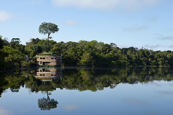 Jacaré Açu - Jau National Park Plus