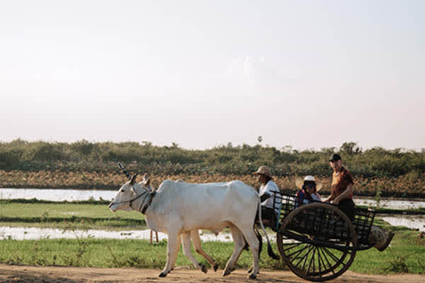 Jayavarman - The Lost Civilization: Siem Reap - Saigon (Downstream) - Day 3