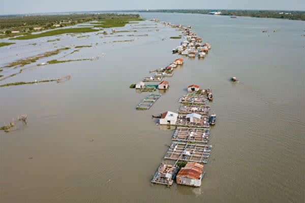 Jayavarman - The Lost Civilization: Saigon - Siem Reap (Upstream) - Day 3