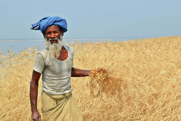 Sukapha - Brahmaputra Maximum - Day 11