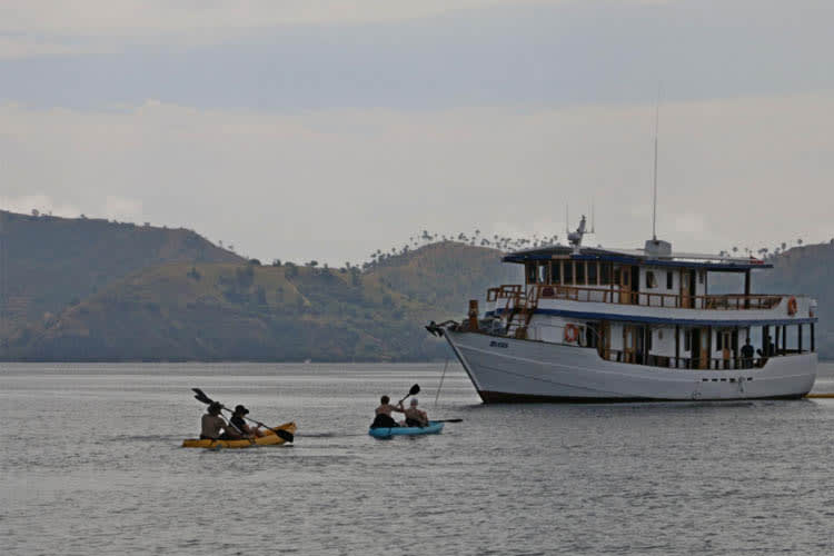 Bugis  - Komodo National Park (Charter Only) - Day 5