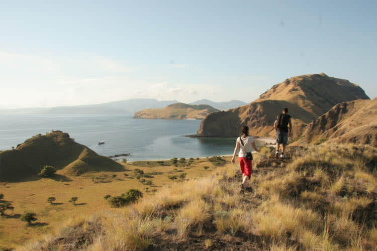 Bugis  - Komodo National Park (Charter Only) - Day 7