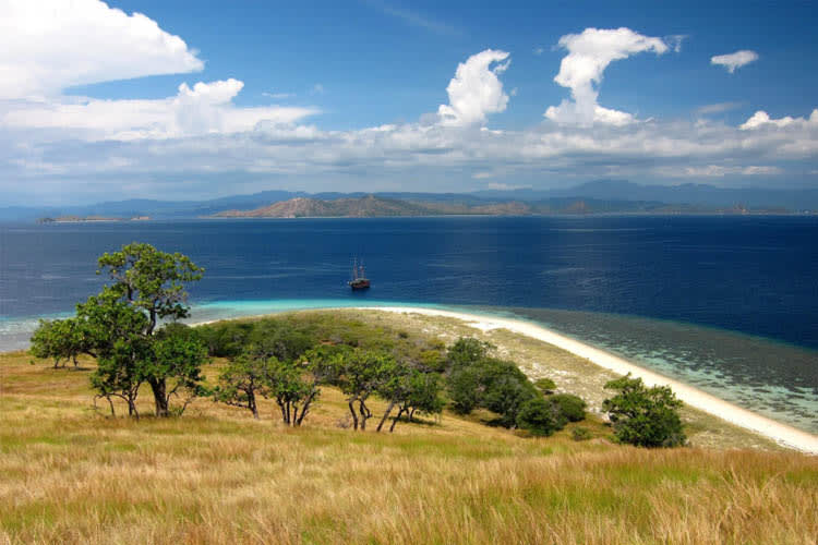 Bugis  - Komodo National Park (Charter Only) - Day 3