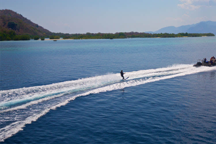 Tiger Blue - Komodo National Park - Day 7