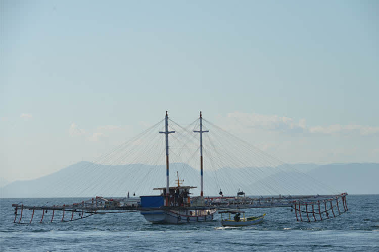 Tiger Blue - Komodo National Park - Day 8