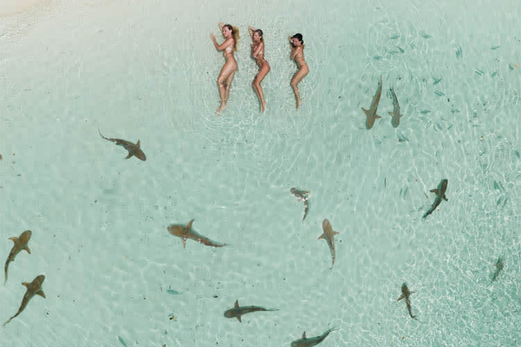 Anne Bonny - Raja Ampat Full Park - Day 11