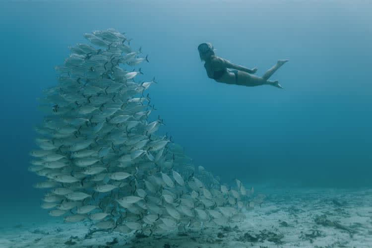 Calico Jack - Triton Bay - Raja Ampat - Day 1