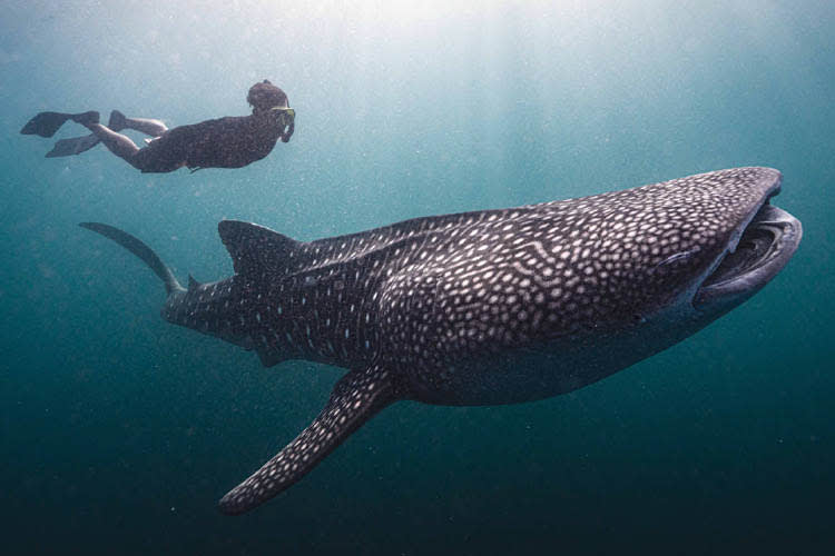 Calico Jack - Triton Bay - Raja Ampat - Day 2