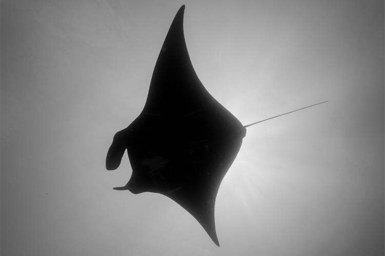 Calico Jack - Raja Ampat - Triton Bay - Day 4