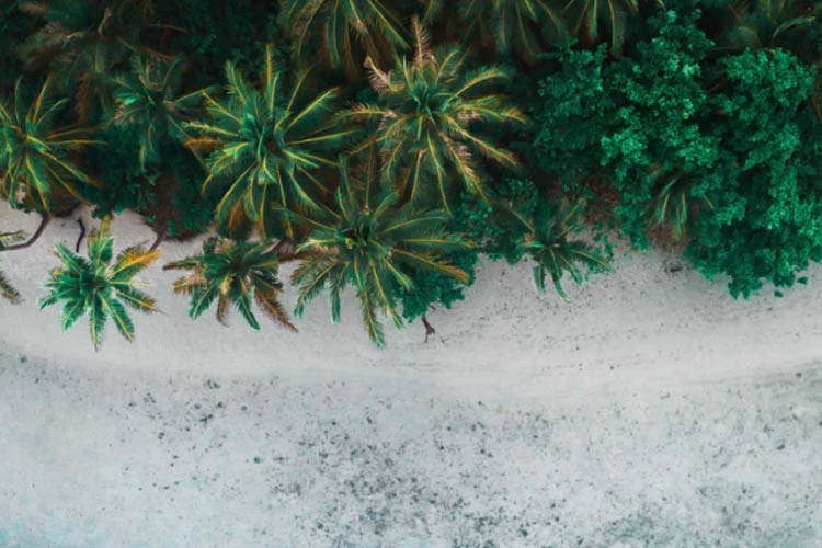 Calico Jack - Raja Ampat Central - Day 9