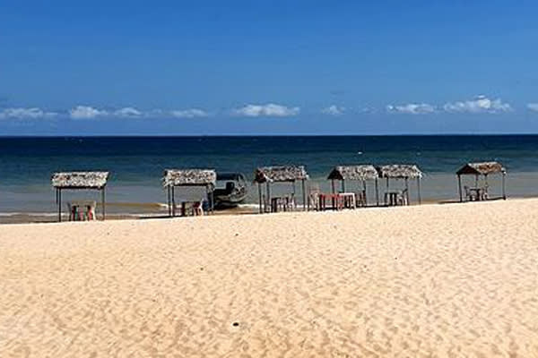 Tupaiú - Amazônia Essencial