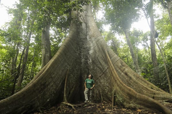 Amazon Dolphin - Amazônia Essencial
